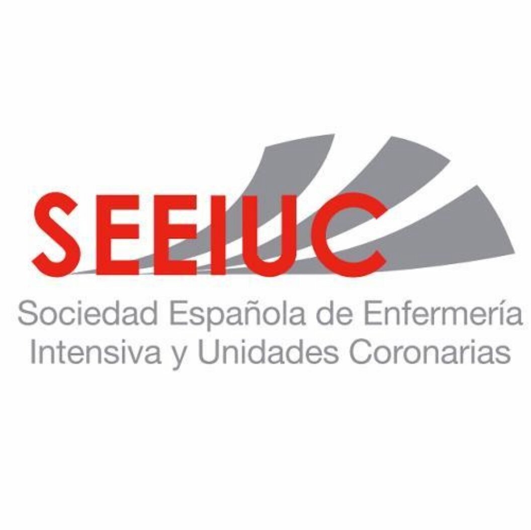 seeiuc logo critical learning